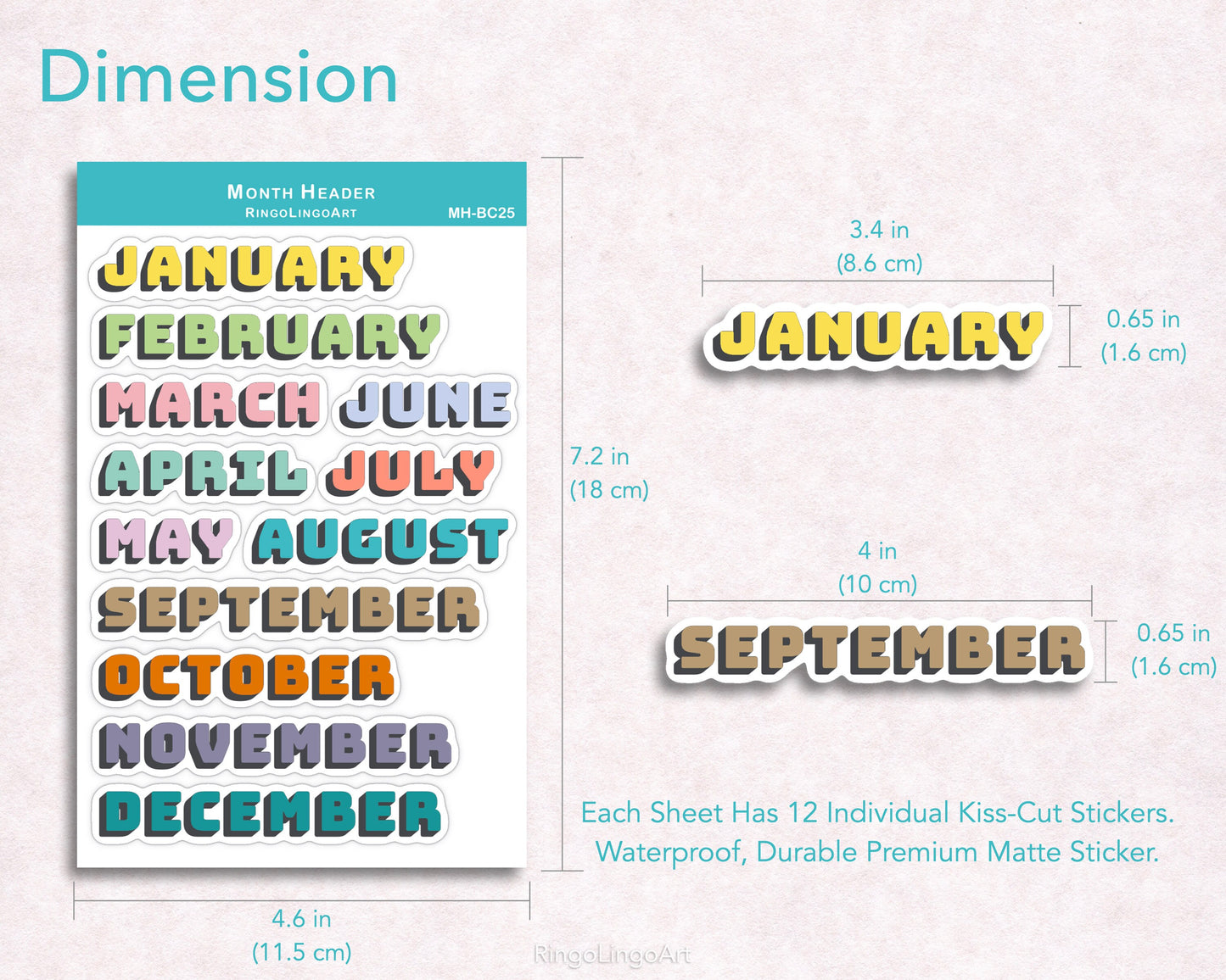 Month Header Sticker - Bright Color